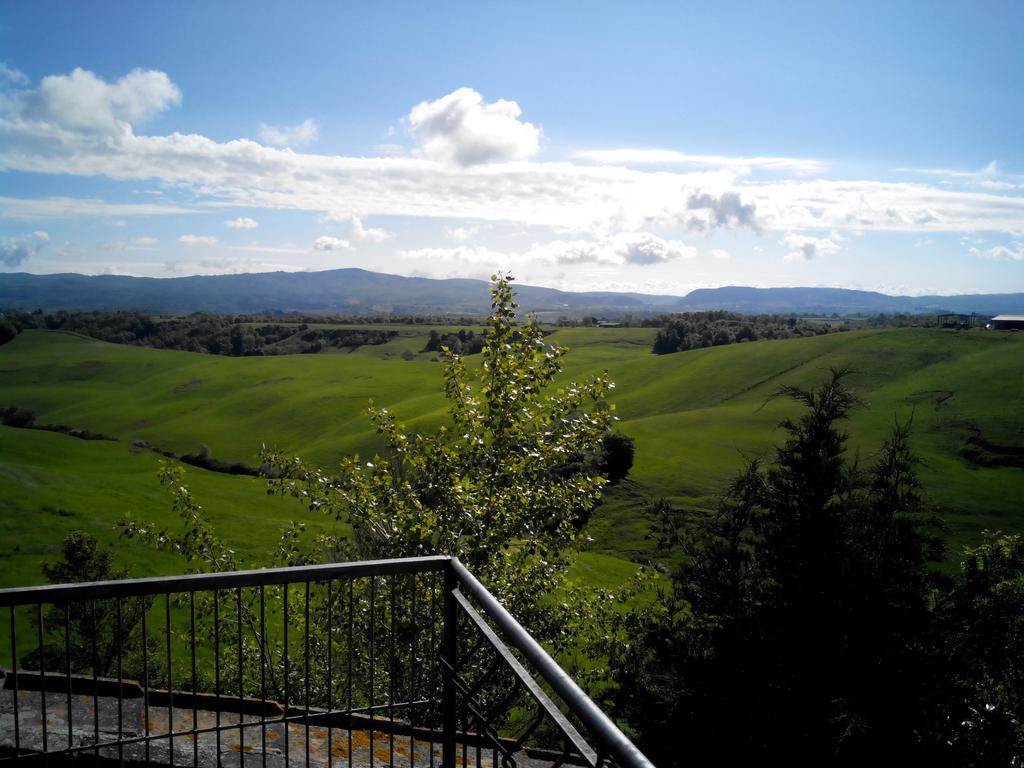 Certine Agriturismo Asciano Esterno foto