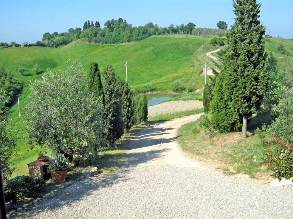Certine Agriturismo Asciano Esterno foto