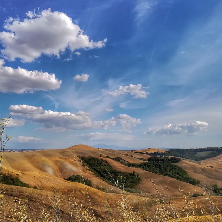 Certine Agriturismo Asciano Esterno foto